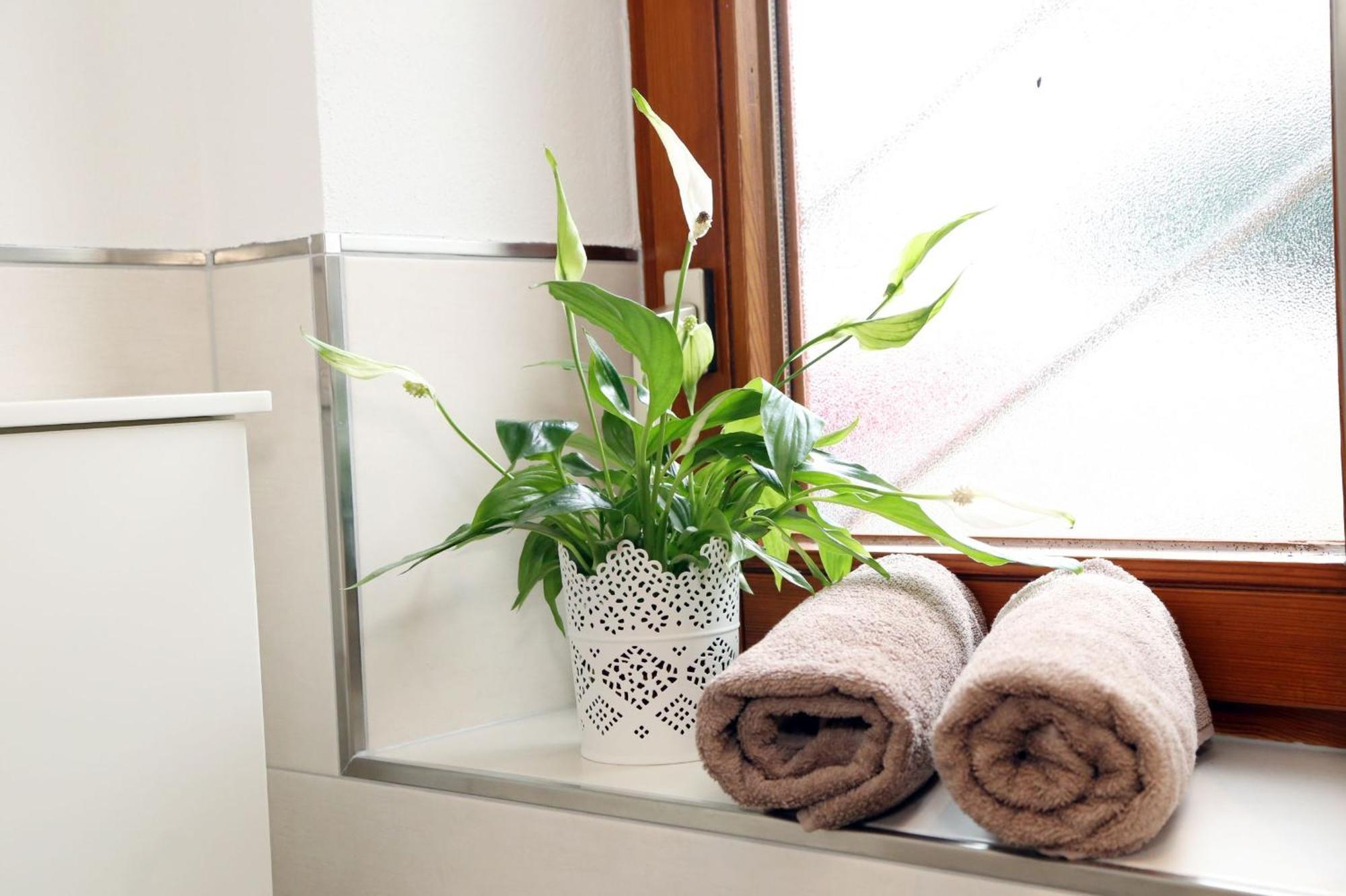 Appartement Schwarzwaldstueble Oberharmersbach Kültér fotó