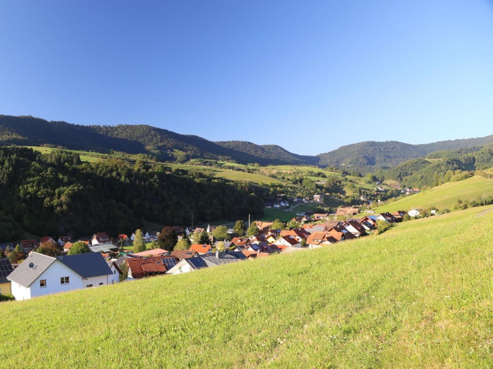 Appartement Schwarzwaldstueble Oberharmersbach Kültér fotó