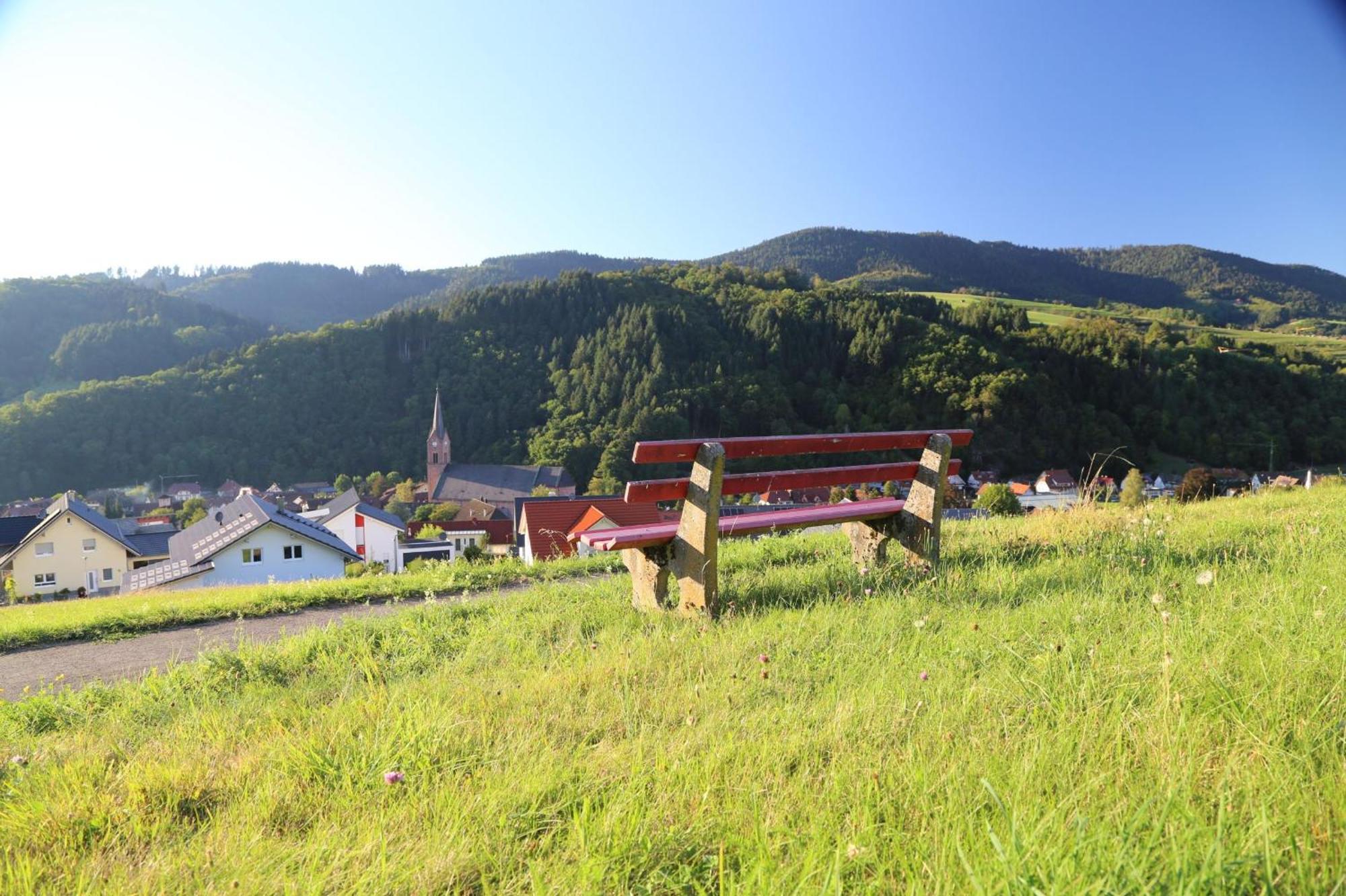 Appartement Schwarzwaldstueble Oberharmersbach Kültér fotó